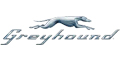 greyhound